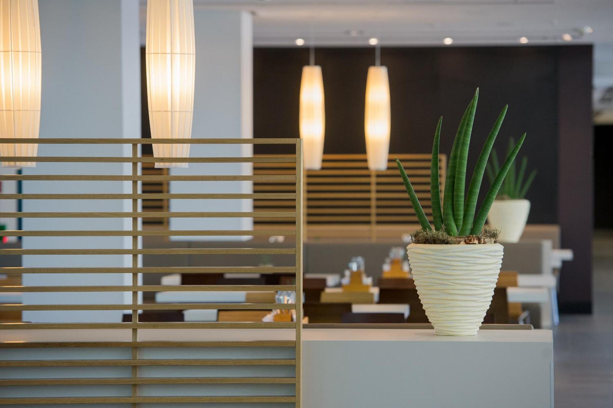 Lufthansa Seeheim - More Than A Conference Hotel エクステリア 写真